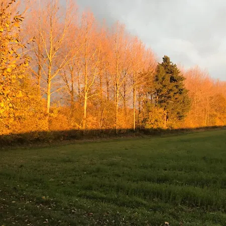 La Villa Enchantée - Votre Pause Arborée Villa