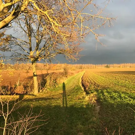 La Villa Enchantée - Votre Pause Arborée La Bruyere