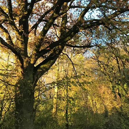 La Villa Enchantée - Votre Pause Arborée Villa *